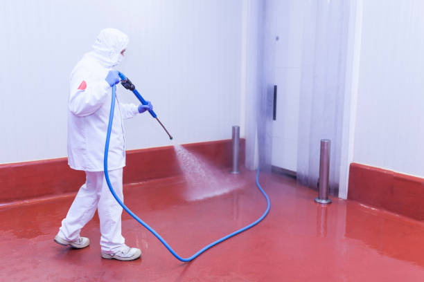 Best Playground Equipment Cleaning  in Mammoth Lakes, CA